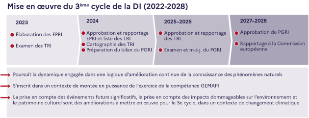 L’image représente une frise présentant les étapes du troisième cycle de la DI.